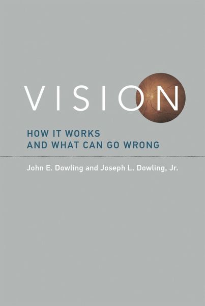 Vision (eBook, ePUB)