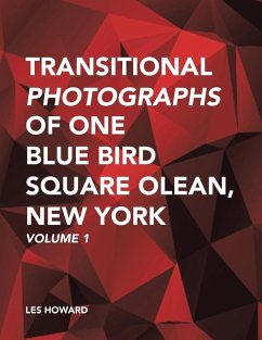 Transitional Photographs of One Blue Bird Square Olean, New York: Volume 1 - Howard, Les