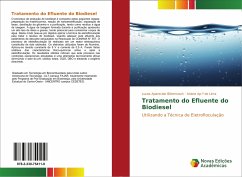 Tratamento do Efluente do Biodiesel - Bittencourt, Lucas Aparecido;Lima, Ariane Ap.ª de