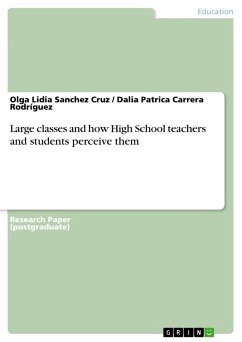 Large classes and how High School teachers and students perceive them (eBook, ePUB)