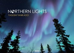 Northern Lights - Tanikado, Yasushi