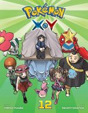 Pokémon X-Y, Vol. 12