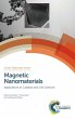 Magnetic Nanomaterials - Bild 1