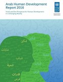 Arab Human Development Report 2016: Youth and the Prospects for Human Development in a Changing Reality