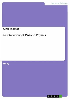 An Overview of Particle Physics (eBook, ePUB)