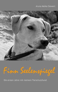 Finn Seelenspiegel (eBook, ePUB) - Siewert, Aruna Meike