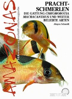 Prachtschmerlen (eBook, ePUB) - Schmidt, Jürgen