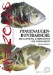 Pfauenaugenbuntbarsche (eBook, ePUB) - Bild 1