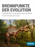 Brennpunkte der Evolution (eBook, ePUB)