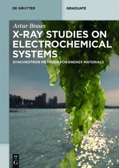 X-Ray Studies on Electrochemical Systems (eBook, PDF) - Braun, Artur