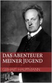 Das Abenteuer meiner Jugend (eBook, ePUB)