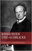Einsichten und Ausblicke (eBook, ePUB)