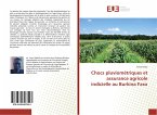 Chocs pluviométriques et assurance agricole indicielle au Burkina Faso