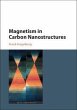 Magnetism in Carbon Nanostructures - Bild 1