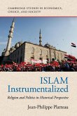 Islam Instrumentalized
