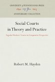 Social Courts in Theory and Practice