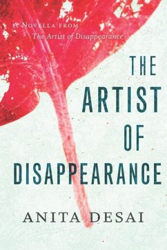 Cover Artist of Disappearance (eBook, ePUB)