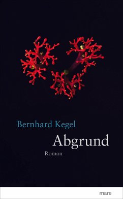 Abgrund (eBook, ePUB) - Kegel, Bernhard