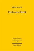 Risiko und Recht (eBook, PDF)