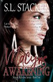 Macyn's Awakening (Macyn McIntyre Series, #2) (eBook, ePUB)