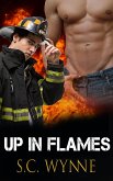 Up In Flames (eBook, ePUB)