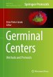 Germinal Centers - Bild 1