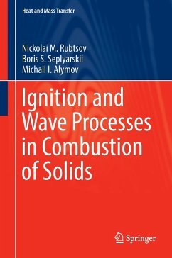 Ignition and Wave Processes in Combustion of Solids - Rubtsov, Nickolai M.;Seplyarskii, Boris S.;Alymov, Michail I.