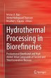 Hydrothermal Processing in Biorefineries - Bild 1