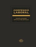Compendio Laboral 2017 (eBook, ePUB)