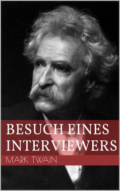 Besuch eines Interviewers (eBook, ePUB)