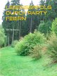 Lebenserfolg durch Party feiern (eBook,... - Bild 1