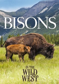 Bisons In The Wild West - Documentation