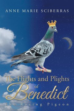 The Flights and Plights of Benedict - Sciberras, Anne Marie