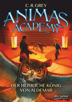 Der heimliche König von Aldemar / Animas Academy Bd.2 - Grey, C. R.