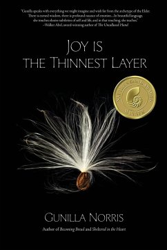 Joy is the Thinnest Layer - Norris, Gunilla