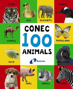 Conec 100 animals - Equipo Bruño