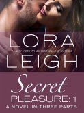 Secret Pleasure: Part 1 (eBook, ePUB)