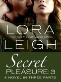 Secret Pleasure: Part 3 (eBook, ePUB) Secret Pleasure: Part 3 (eBook, ePUB)