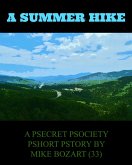 A Summer Hike (eBook, ePUB)