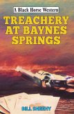 Treachery at Baynes Springs (eBook, ePUB)