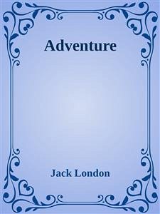Cover Adventure (eBook, ePUB)