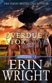 Overdue for Love: A Secret Baby Western Romance (Cowboys of Long Valley Romance, #6) (eBook, ePUB)