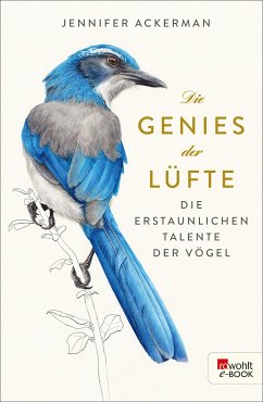 Die Genies der Lüfte (eBook, ePUB) - Ackerman, Jennifer
