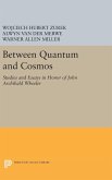 Between Quantum and Cosmos