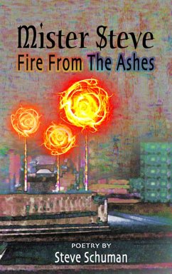 Mister Steve: Fire From The Ashes (eBook, ePUB) - Schuman, Steve