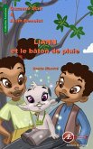 Liann et le bâton de pluie (eBook, ePUB)