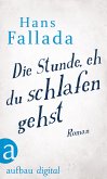 Die Stunde, eh' du schlafen gehst (eBook, ePUB)