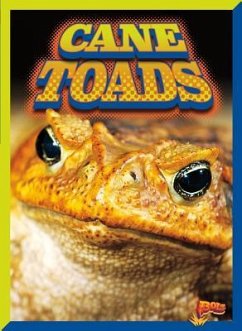 Cane Toads - Ciletti, Barbara