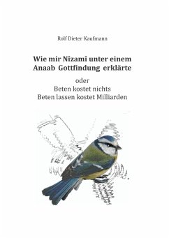 Wie mir Nîzamî unter einem Anaab Gottfindung erklärte - Kaufmann, Rolf Dieter
