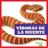 Viboras de La Muerte (Death Adders)